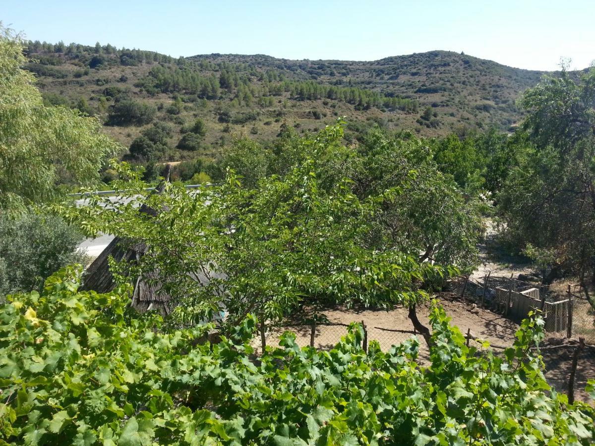 Hostal Rural Casa Pedro San Martín de Unx Buitenkant foto